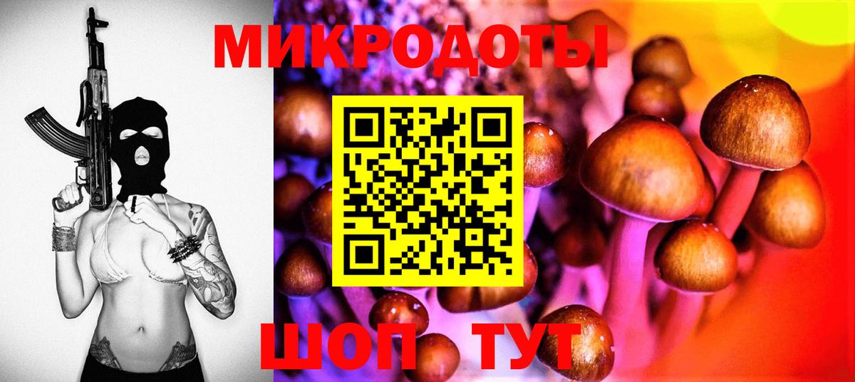 Галлюциногенные грибы Psilocybine cubensis  Галлюциногенные грибы мухоморы  Сургут  что такое   Вход с VPN 